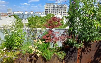 Jardins bucoliques suspendus au ciel de Paris